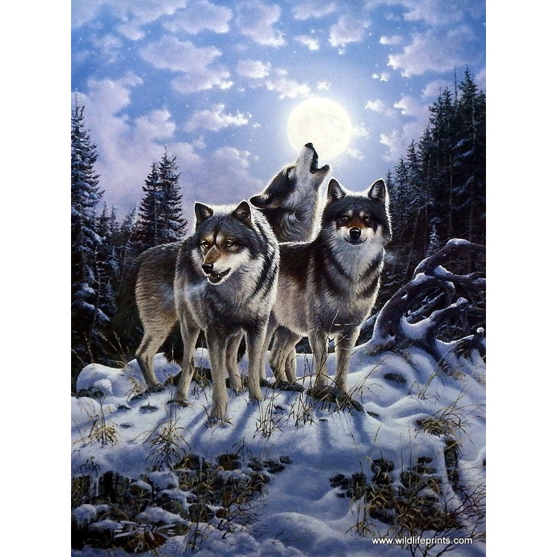 Derk Hansen Midnight Watcher – 19″x 25″ Open Edition