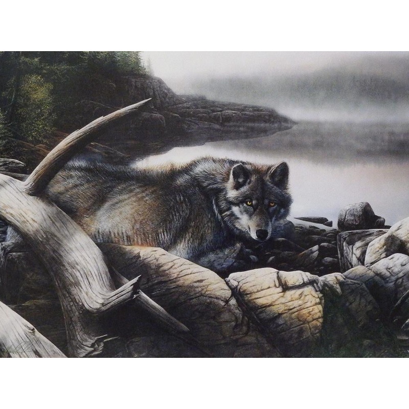 Kevin Daniel Lone Wolf